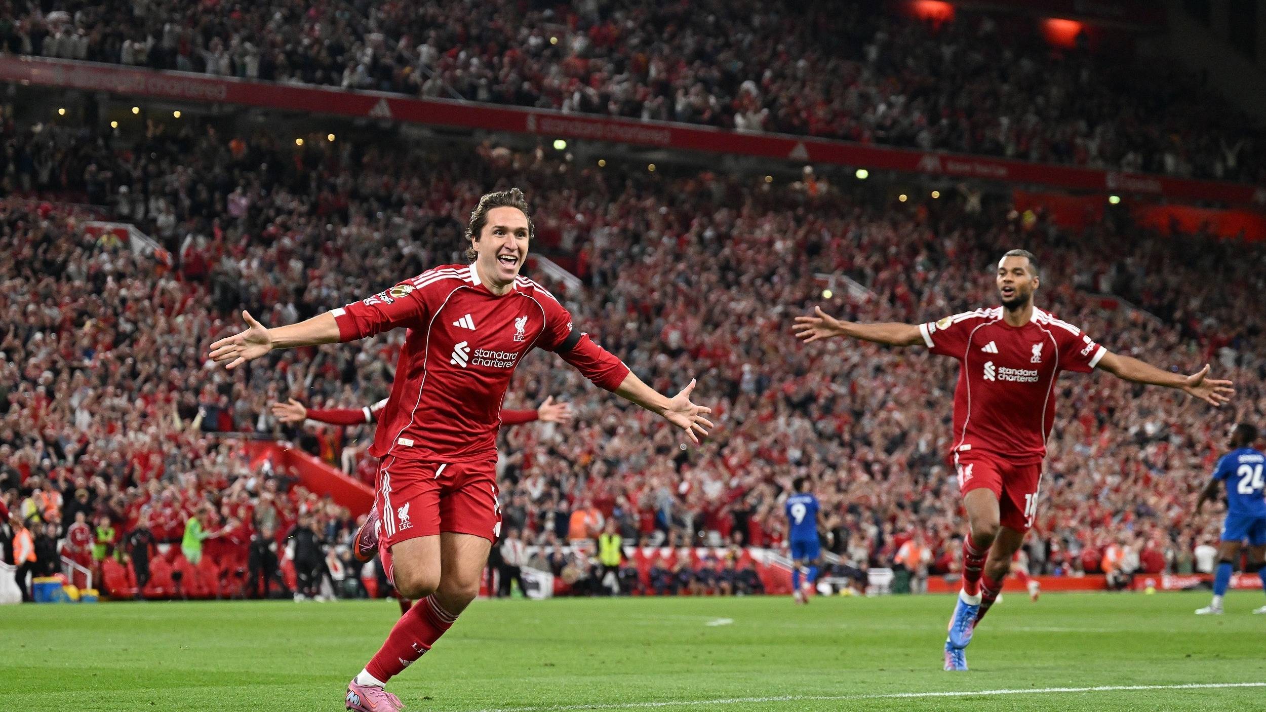 鱼队的对决 鱼队的对决