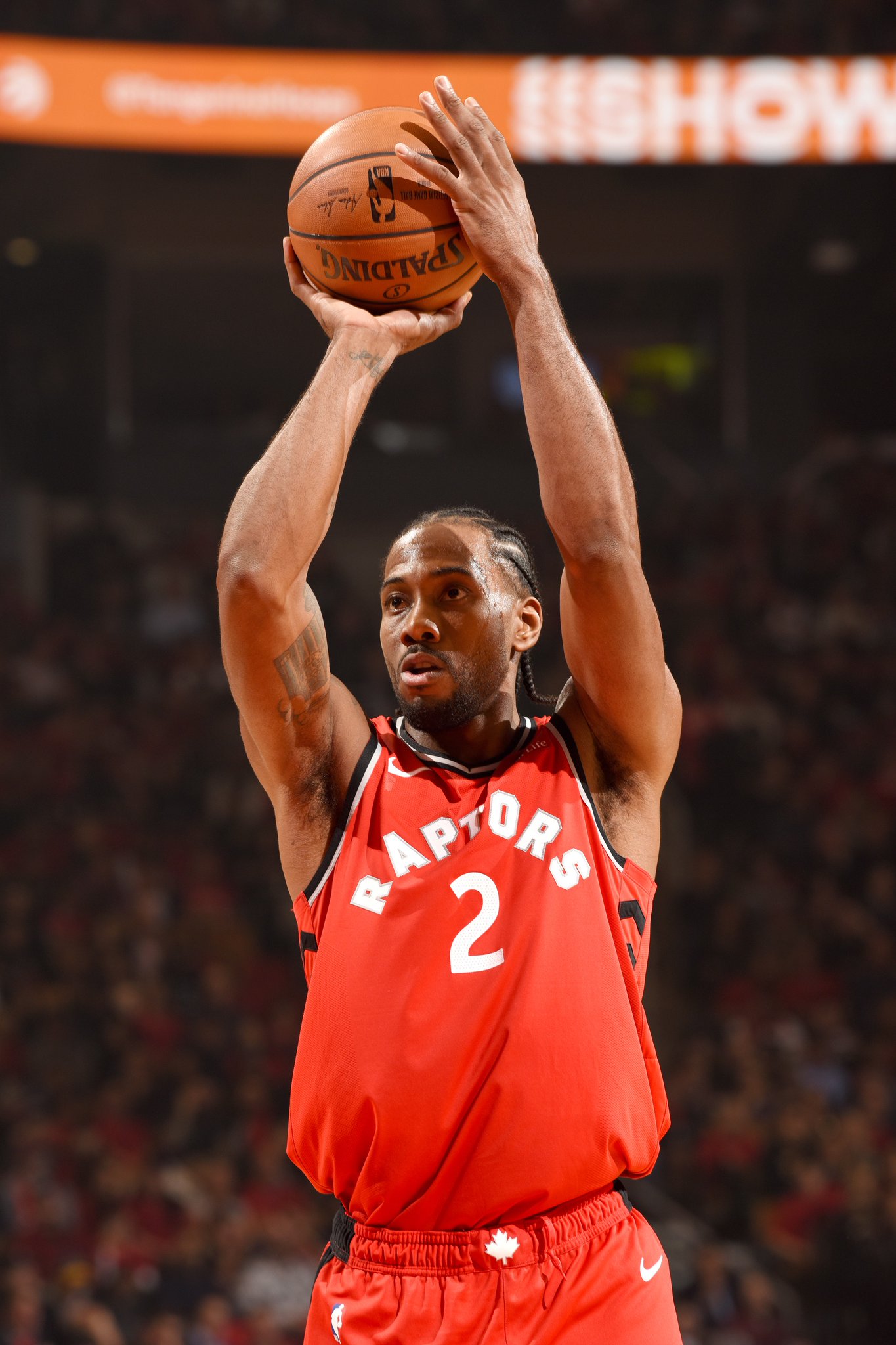 大真实性能 大真实性能